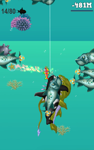 Android application Hunting And Fishing screenshort