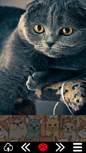 Cat.alogue Screen 3