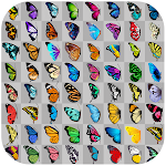 Cover Image of Herunterladen Butterfly Connect-Spiel  APK