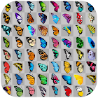 Butterfly connect game 1.5