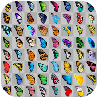 Butterfly connect game