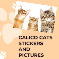 Calico Cats Stickers