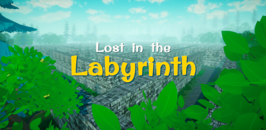 3D Maze: Lost in the Labyrinth