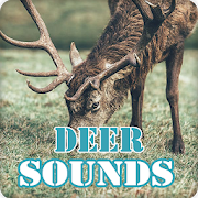 Deer Sounds Ringtone Collection