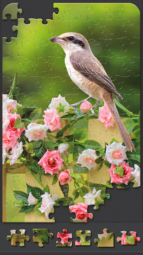 Jigsaw Puzzles for Adults Screen 3