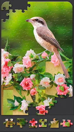 Game screenshot Jigsaw Puzzles for Adults apk download