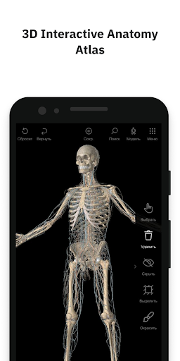 Android application Pirogov Anatomy screenshort
