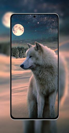 Android application 10000 Animals Wallpapers screenshort