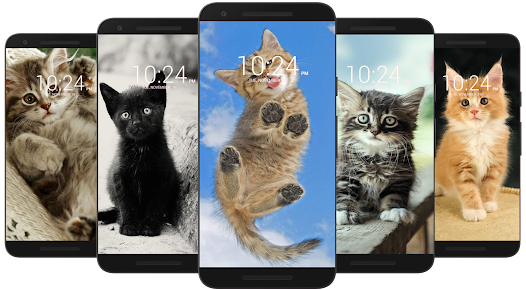 Kitten & Cute Cat Wallpaper HD  screenshots 4