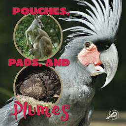 Icon image Pouches, Pads, and Plumes