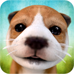 Cover Image of Download Dog Simulator  APK