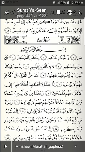 Pocket Quran Screen 2