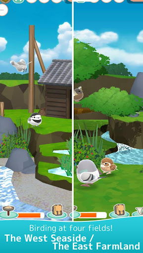 Android application Tori Watch 2 - fluffy birds - screenshort