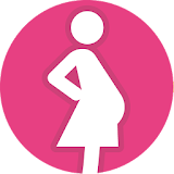 OBS / Pregnancy Calculator icon
