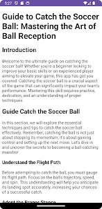 Guide Catch the Soccer Ball