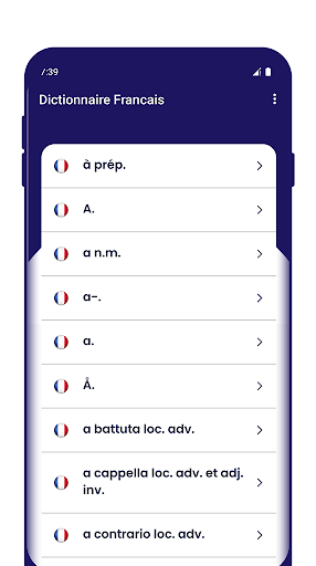 Dictionnaire Francais Screen 2