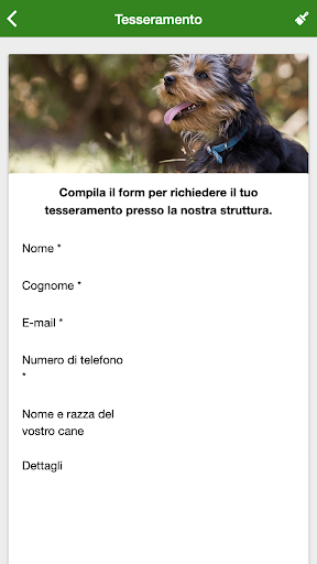 Service Dog Arezzo Screen 3