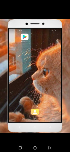صور قطط كيوت ومضحكة Screen 2