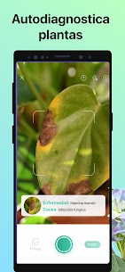 PictureThis Mod APK 2024 (Premium desbloqueado) para Android 4