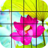 Lotus Puzzle Games icon