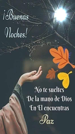 Imagenes de Buenas Noches Screen 2