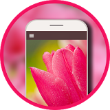 Pink Theme icon