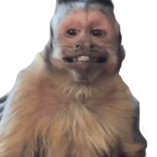 Stickers Memes WAStickerApps logo