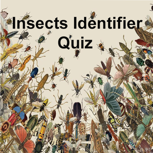 Insects Identifier Quiz logo