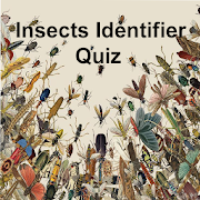 Insects Identifier Quiz