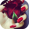download Beautiful flowers and roses Gif 4K apk