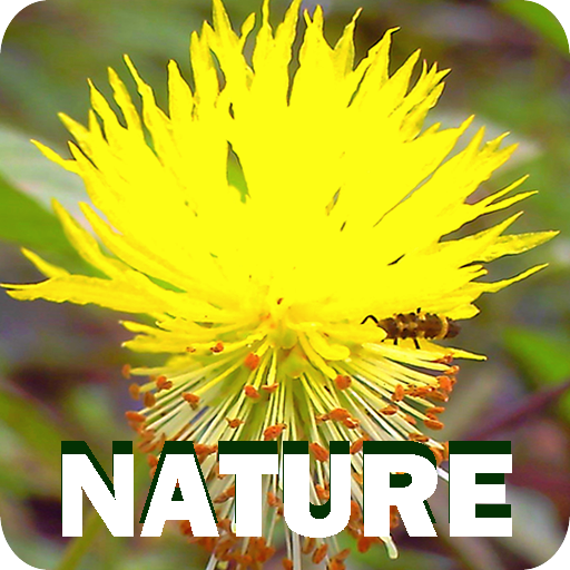 Nature logo