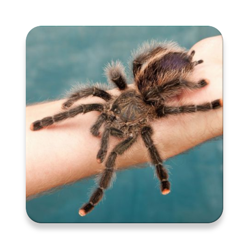 Scary Animal Sound Collections