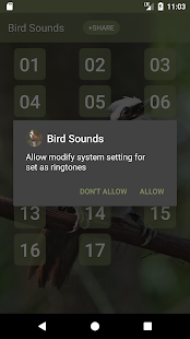 Laughingthrushes Bird Sounds 1.8 APK screenshots 3