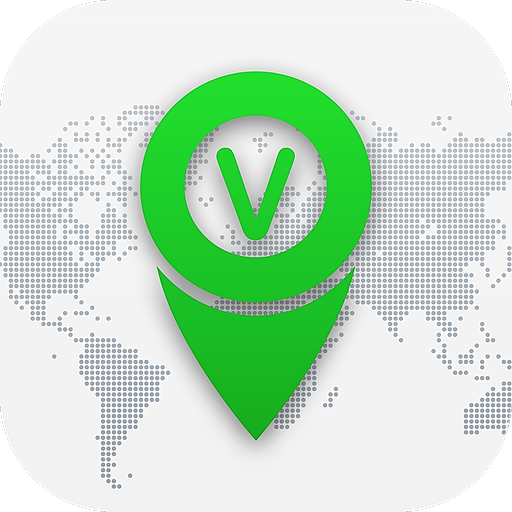 VayaPin logo