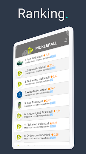 Wiplay Pickleball