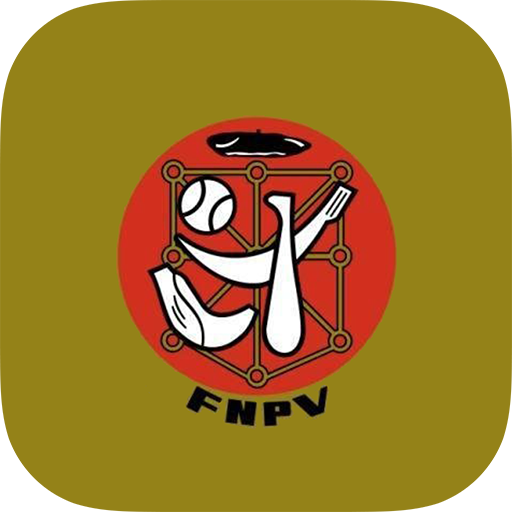 Federación Navarra de Pelota V  Icon