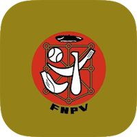 Federación Navarra de Pelota V