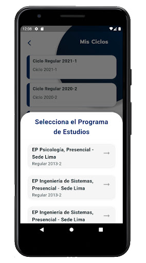 UPeU Lamb Screen 3