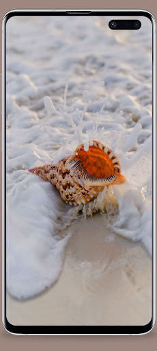 Beach Wallpapers HD Screen 2