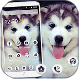 Cute Dog Theme Wallpaper icon