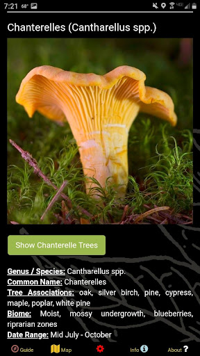 Android application Massachusetts Mushroom Forager screenshort