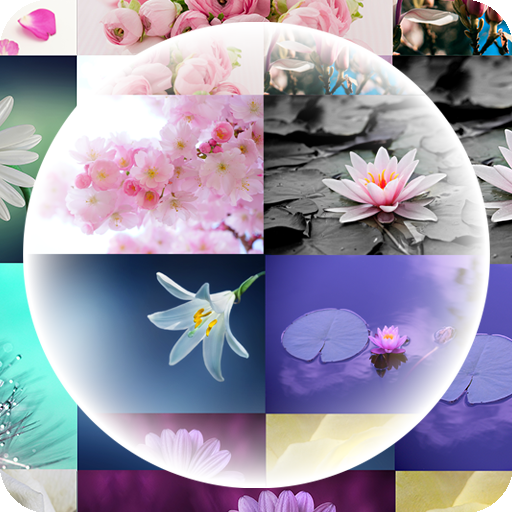 Flowers Timelapse Theme  Icon