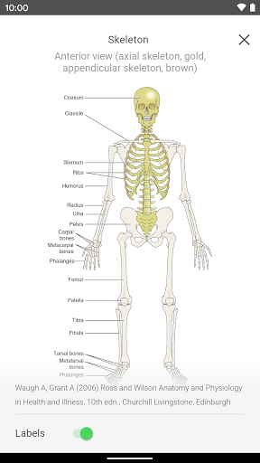 Elsevier SurviveMed Screen 2