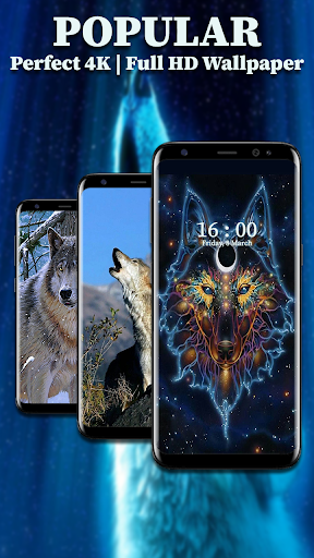 Wolf Wallpaper HD Screen 2
