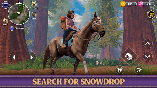 Star Equestrian – Horse Ranch 3