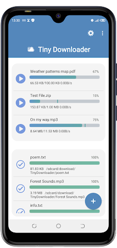 Tiny Download Manager Screen 2
