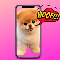 Icon image