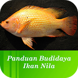 Panduan Budidaya Ikan Nila icon