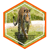Tiger Wallpaper HD icon