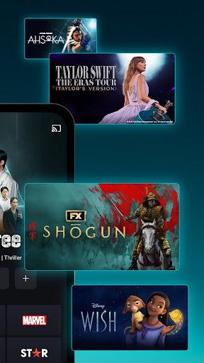Disney+ Hotstar Screen 2